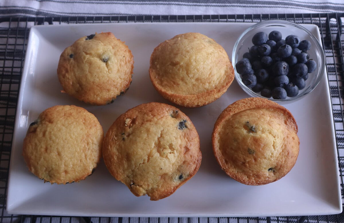 Blueberry muffins on a white plate with a small bowl of blueberries.