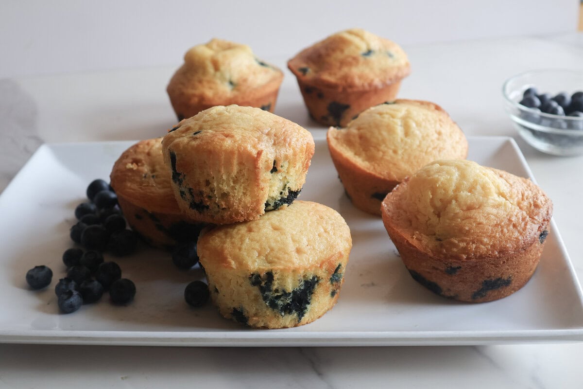 Blueberry muffins with blueberries on a white plate.