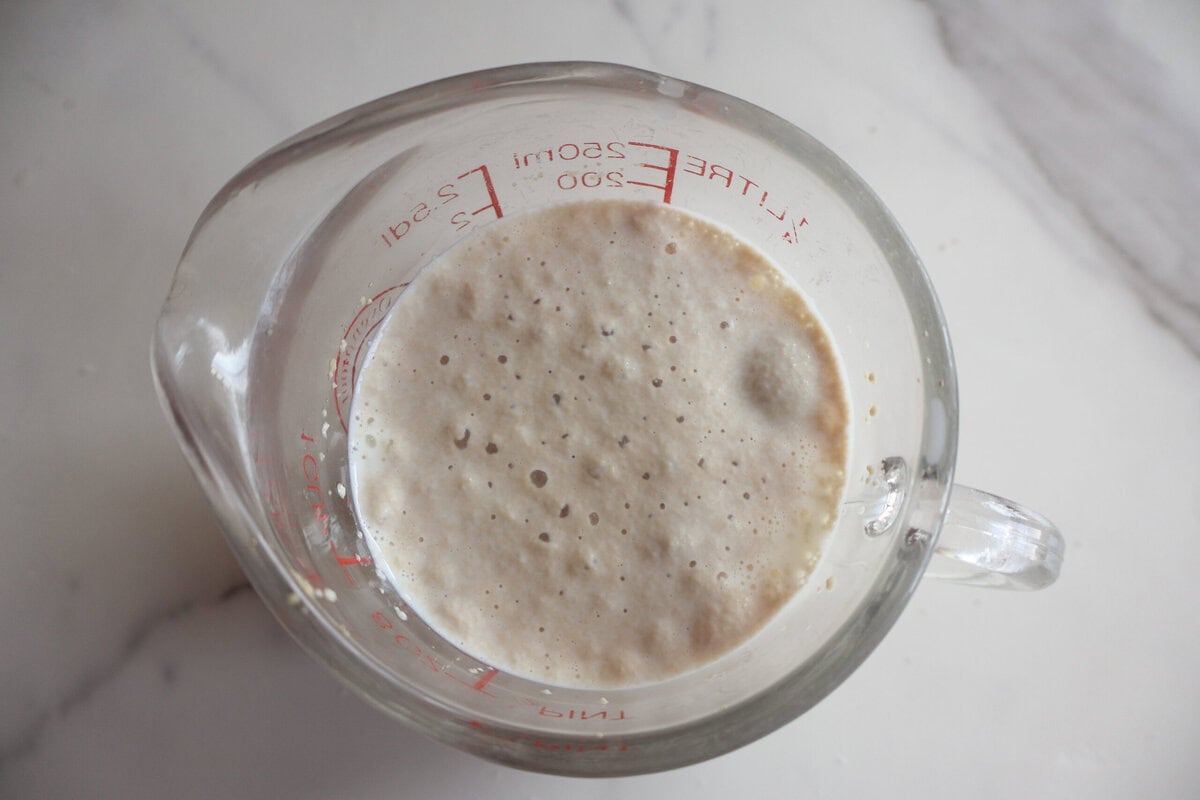 Yeast activated with water in a measuring cup.