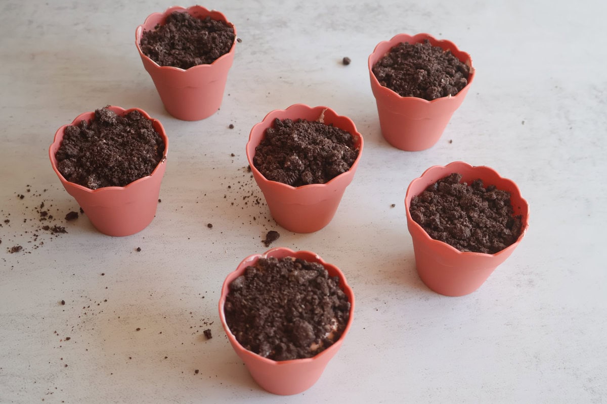 crushed cookies in flowerpots.