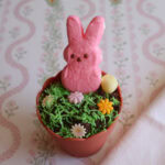 Bunny Peep in an Easter mini flowerpot dirt cup.