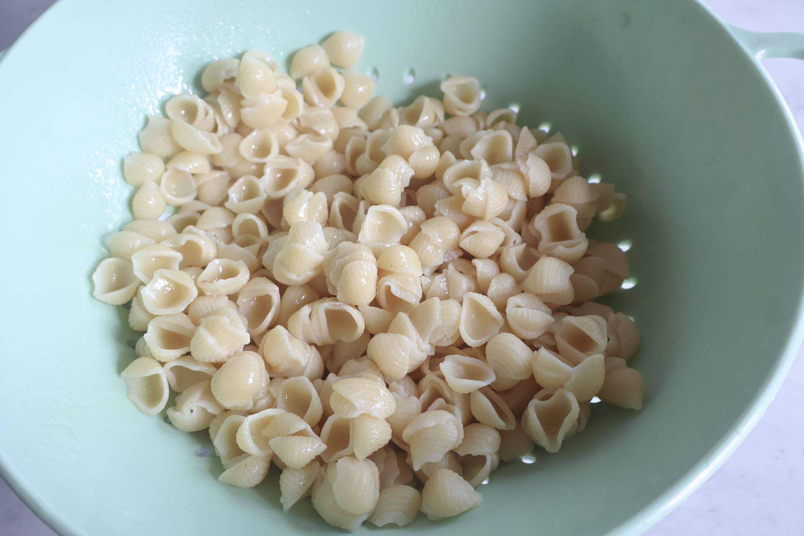 Small shell pasta cooled in a colander.