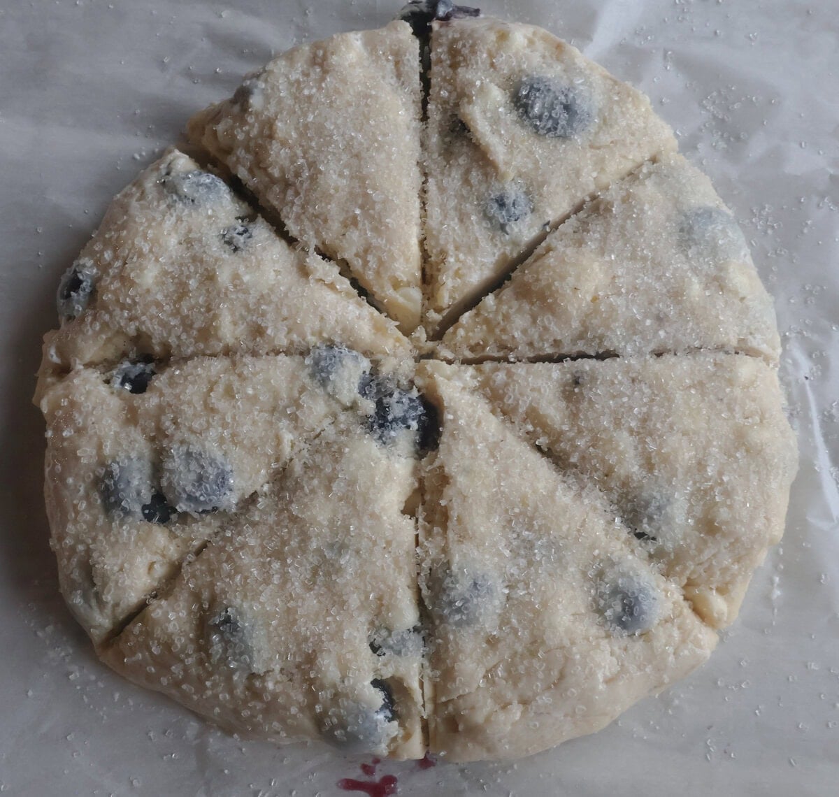 Blueberry white chocolate scones prepared for baking.