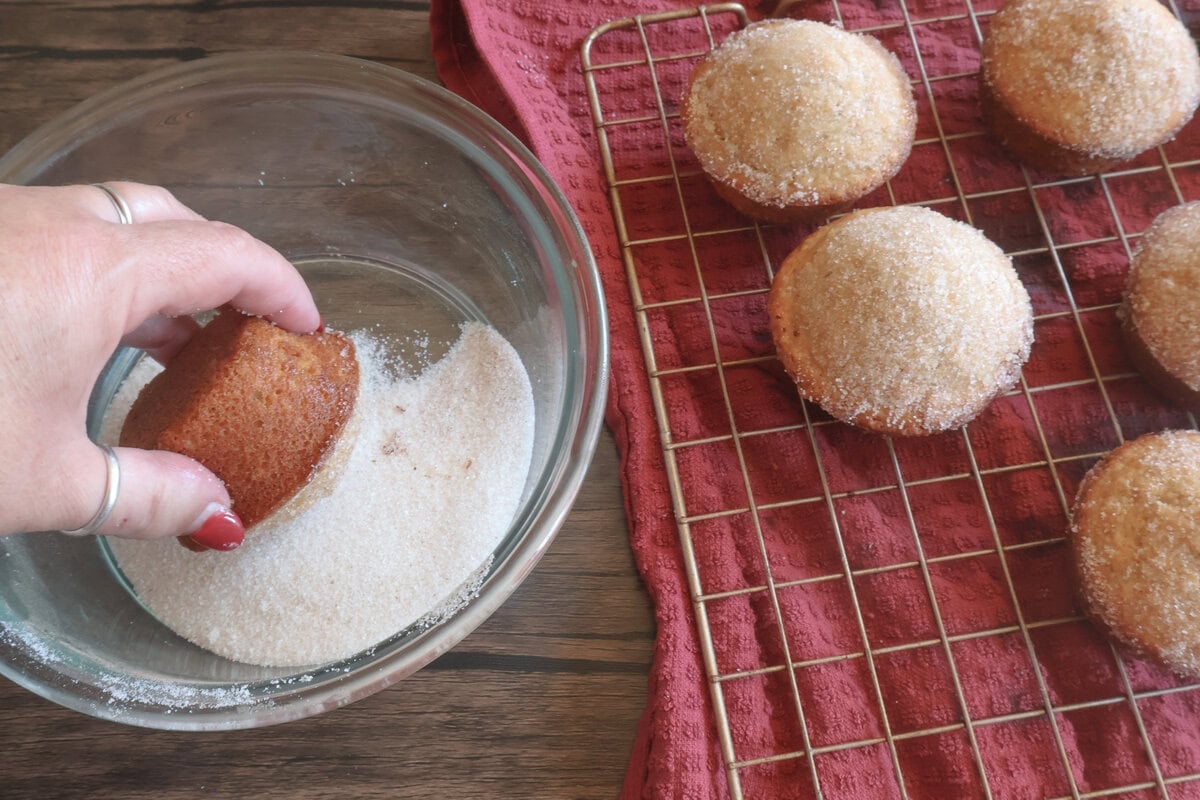apple cider donut muffin being dipped in the cinnamon sugar mixture.